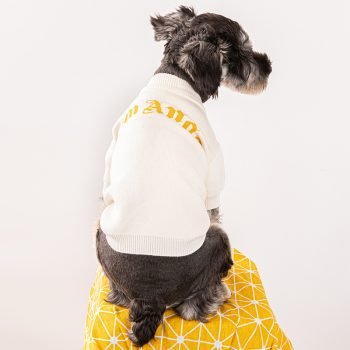 Pull blanc pour chiens Palm Angels | 2024