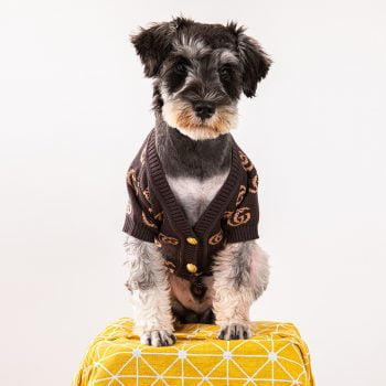 Cardigan pour petits chiens design Gucci | 2024