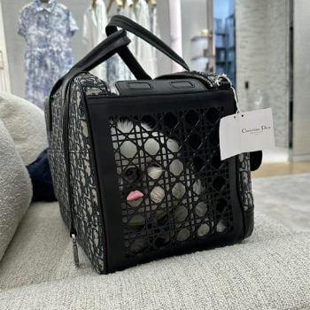 Sac de transport Dior : Le luxe à portée de patte | 2024