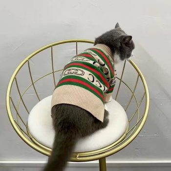 Cardigan d'Hiver Chaud pour Petits Chiens Pawcci - 2025 - Vêtement et accessoires pour chiens - Doglovedesign