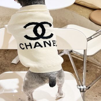 Pull en laine pour petits chiens logo CC Chanel | 2024