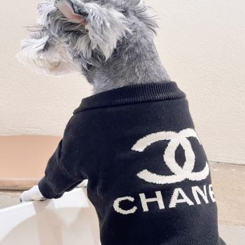 Pull en laine pour petits chiens logo CC Chanel | 2024