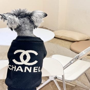 Pull en laine pour petits chiens logo CC Chanel | 2024