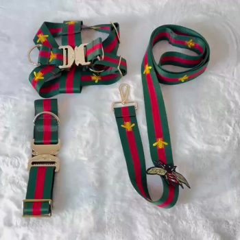 Laisse, Collier et Harnais en Nylon Pawcci pour Chiens - 2025 - Doglovedesign : Vêtement et accessoires pour chiens