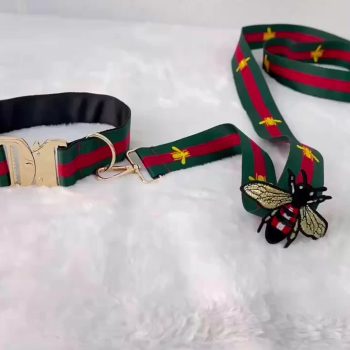 Laisse, Collier et Harnais en Nylon Pawcci pour Chiens - 2025 - Doglovedesign : Vêtement et accessoires pour chiens