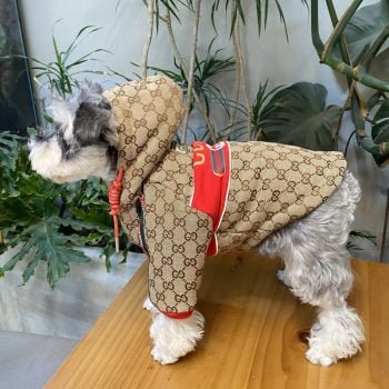 Manteau chien luxe : Capuche rouge Gucci - Édition limitée | 2025