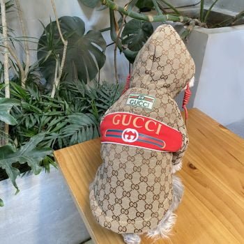 Manteau chien luxe : Capuche rouge Gucci - Édition limitée | 2025