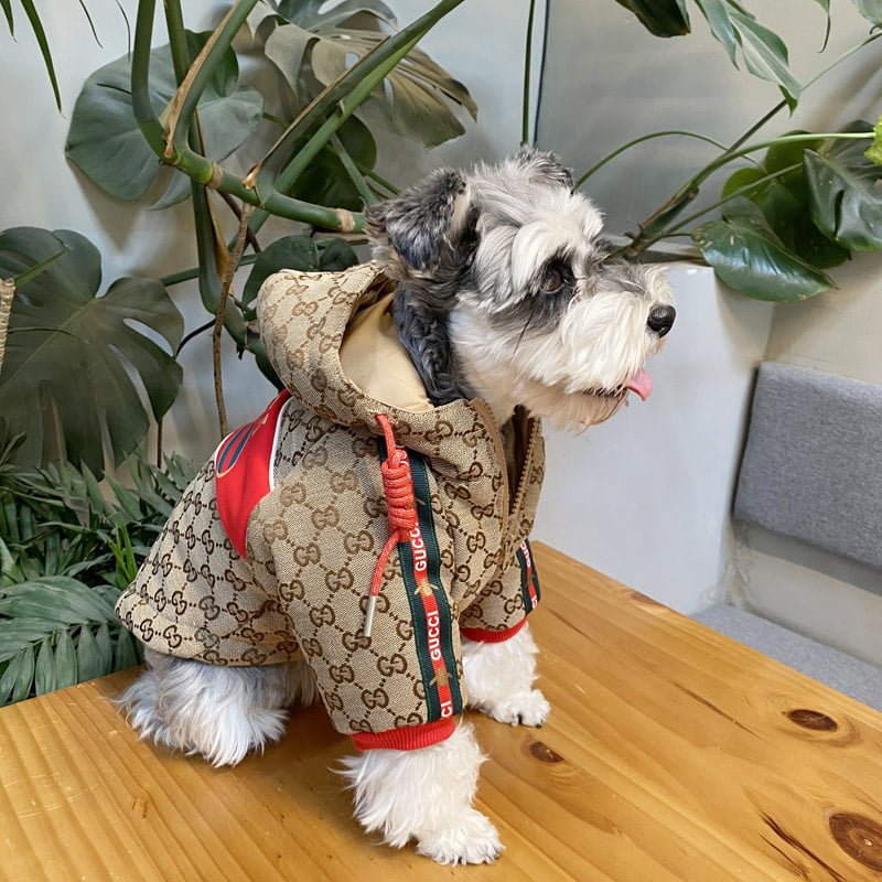 Manteau chien luxe : Capuche rouge Gucci - Édition limitée | 2025