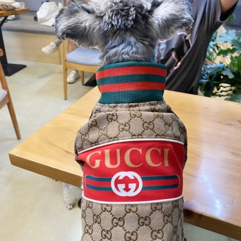 Veste pour chien GUCCI marron | 2024