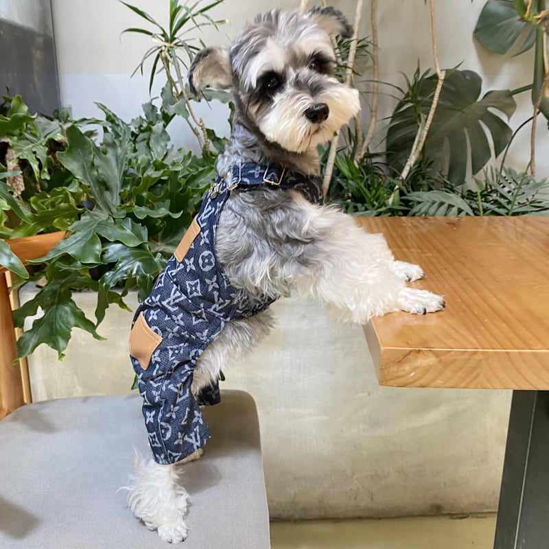 Salopette Jean Chien Monogramme Louis Pawtton - Tendance & Confort pour Chiens Chic | 2024