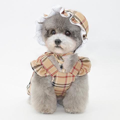 Robe Burberry pour Chiens - Distinction et Style Canin