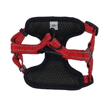 Ensemble de Marche Nike pour Chiens - Harnais & Laisse Réglables - 2025 - Vêtement et accessoires pour chiens - Doglovedesign