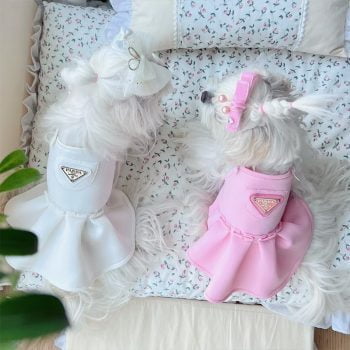 Robe de Princesse PAWDA pour Chiens | 2025