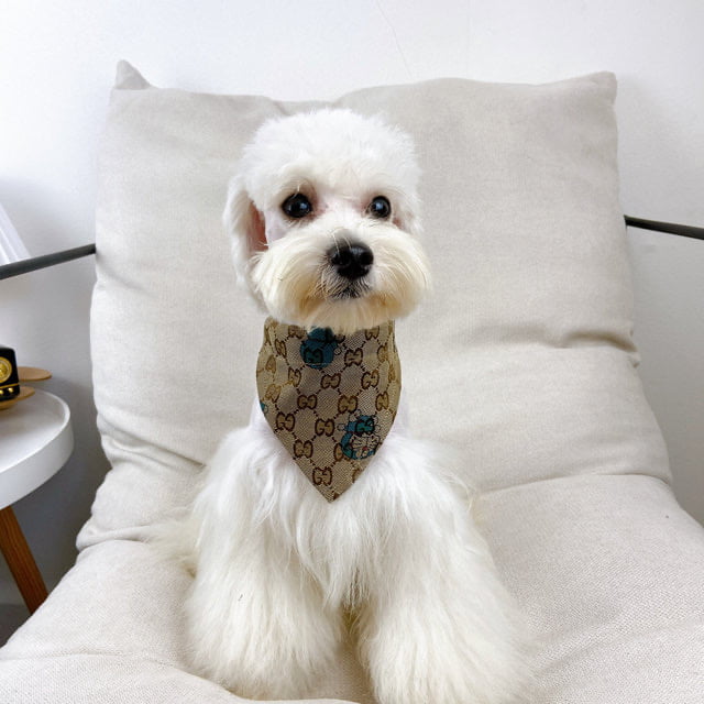 Collier pour chiens bandanas de marques de luxe | 2024
