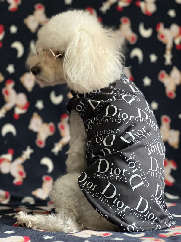 Veste noire imprimée DIOR pour chiens | 2025