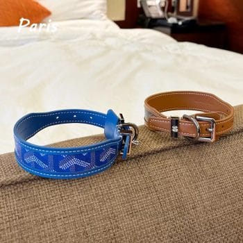 Collier et Laisse Goyard Luxe pour Petit Chien | 2024