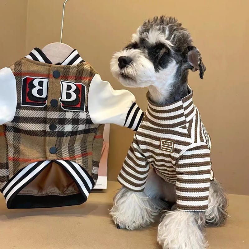 Veste Burberry pour Chiot | DogLoveDesign