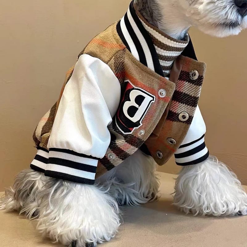 Veste Burberry pour Chiot | DogLoveDesign