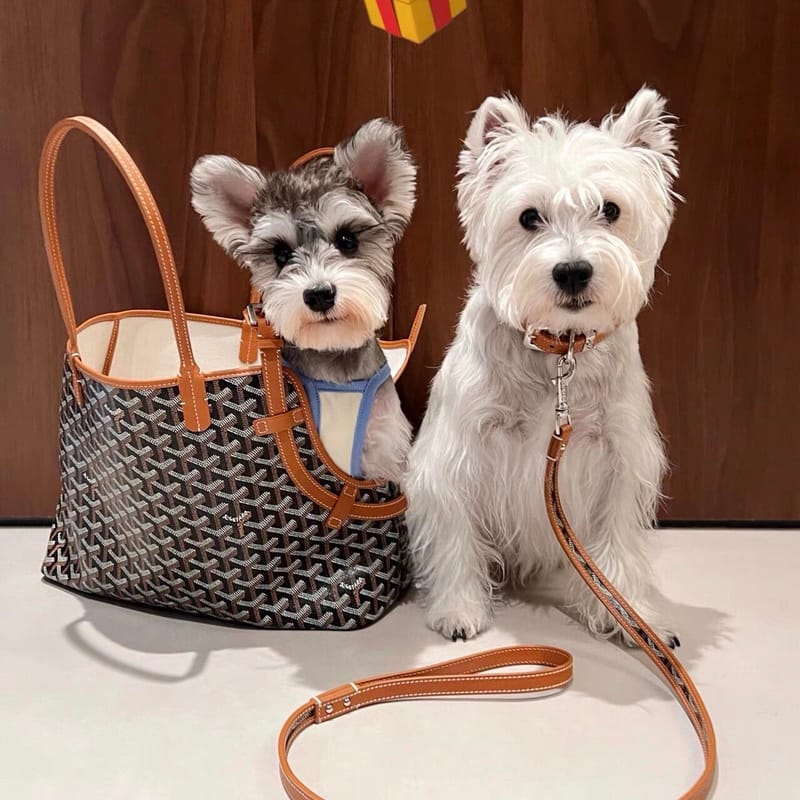 Sac de transport Goyard pour petit chien : Chic et pratique | 2024