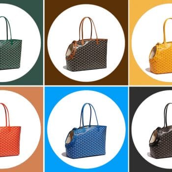 Sac de transport Goyard pour petit chien : Chic et pratique | 2024