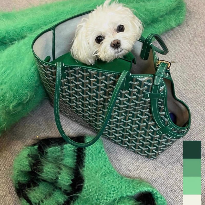 Sac de transport Goyard pour petit chien : Chic et pratique | 2024