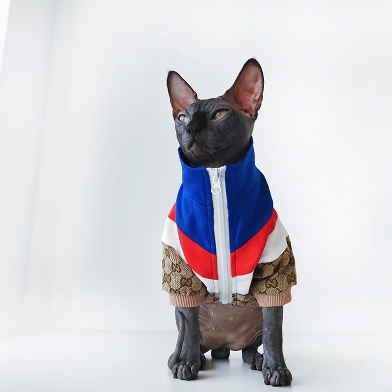 Veste Gucci pour chien : Le luxe à portée de patte | 2024