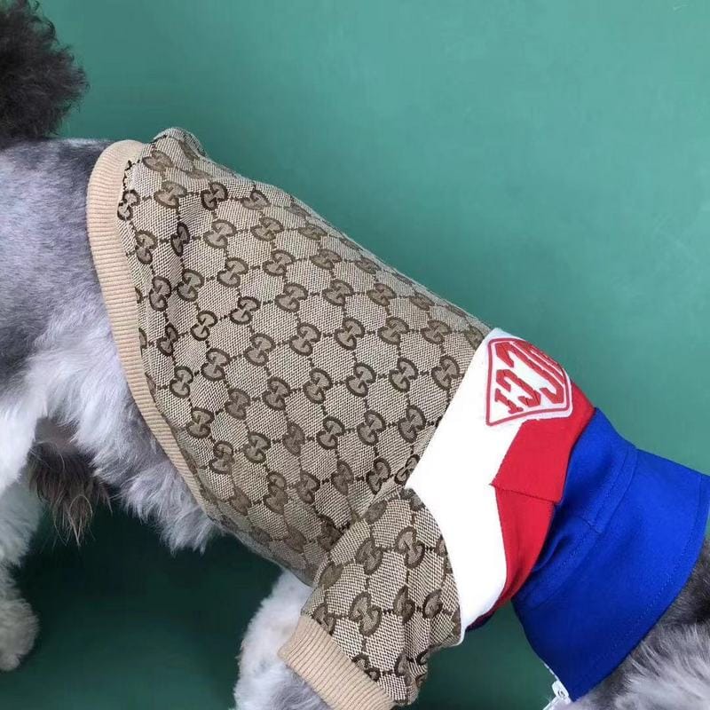 Veste Gucci pour chien : Le luxe à portée de patte | 2024