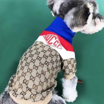 Veste Gucci pour chien : Le luxe à portée de patte | 2024