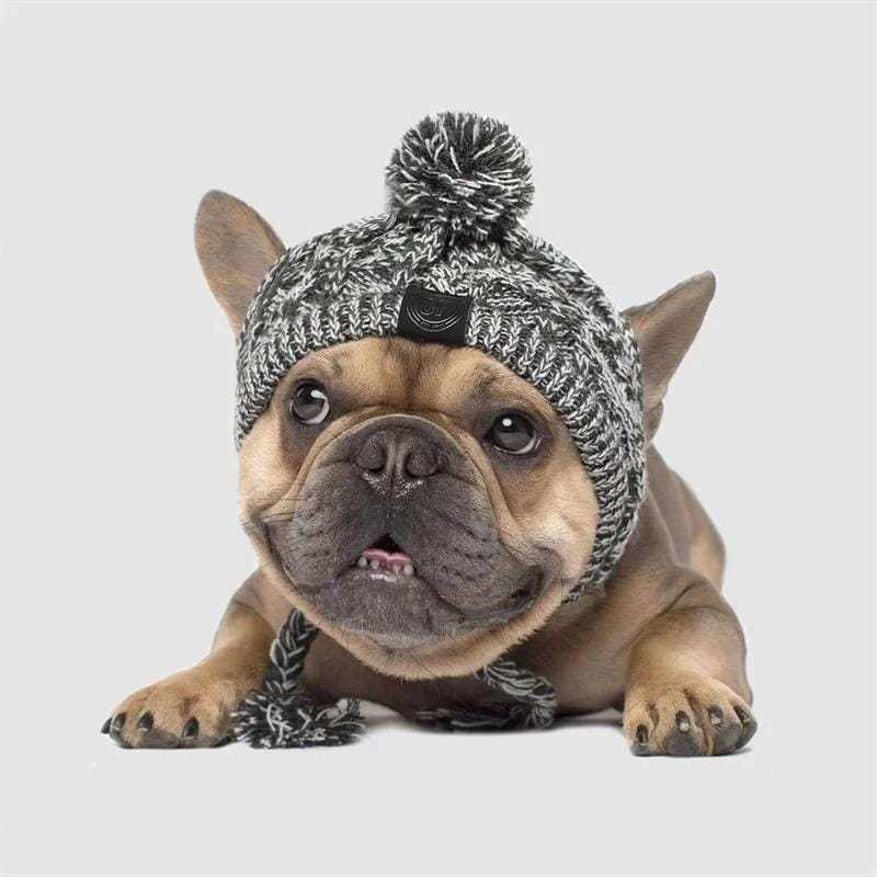 Bonnet d'Hiver Boule Bouffante pour Petit Chien - Un Look Irrésistible