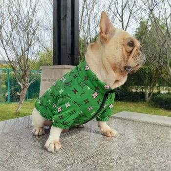 Manteau de luxe vert pour Bouledogue Français - Inspiration LV - DogLoveDesign | 2025