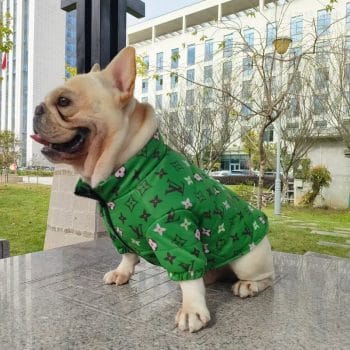 Manteau de luxe vert pour Bouledogue Français - Inspiration LV - DogLoveDesign | 2025