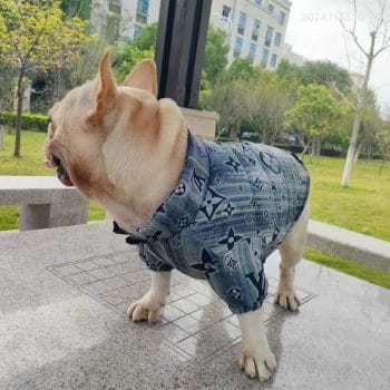 Vêtement LV pour chien - Manteau Bleu Bouledogue Français - DogLoveDesign | 2025