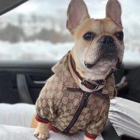 Veste pour chien Pawcci - 2025 - Vêtement et accessoires pour chiens - Doglovedesign